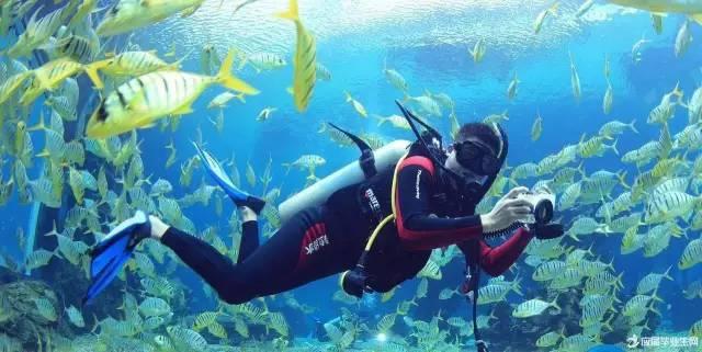 海滩宾馆逃生